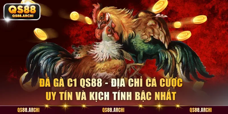 Đá Gà C1 QS88 - Địa Chỉ Cá Cược Uy Tín Và Kịch Tính Bậc Nhất