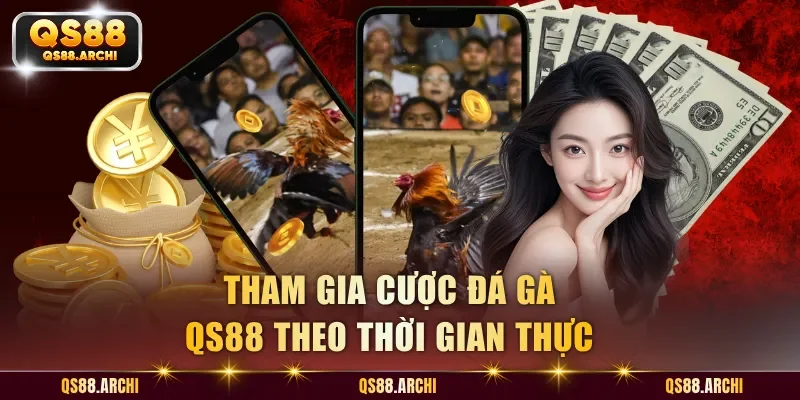 Tham gia cược đá gà QS88 theo thời gian thực